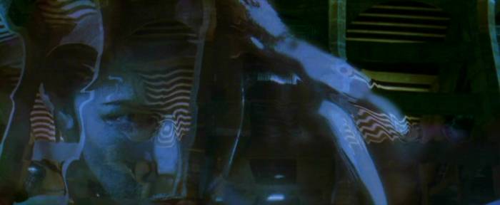 Chameleon (Traci Lords) blending