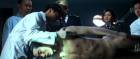 Thumbnail of Major Jean and one of the corpses
